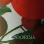 Printed Rexine | White Base | Pvc and Laminated Coated | Multicolour