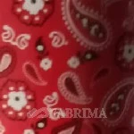 Printed Rexine | White Base | Pvc and Laminated Coated | Multicolour